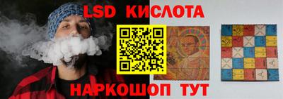 крисы Славгород
