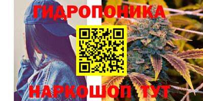 крисы Славгород