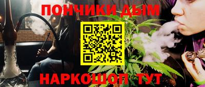 крисы Славгород