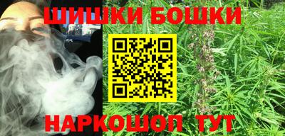 крисы Славгород