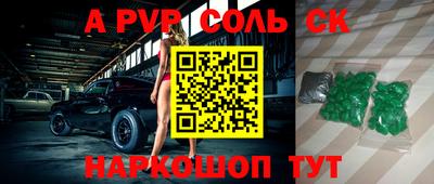 крисы Славгород
