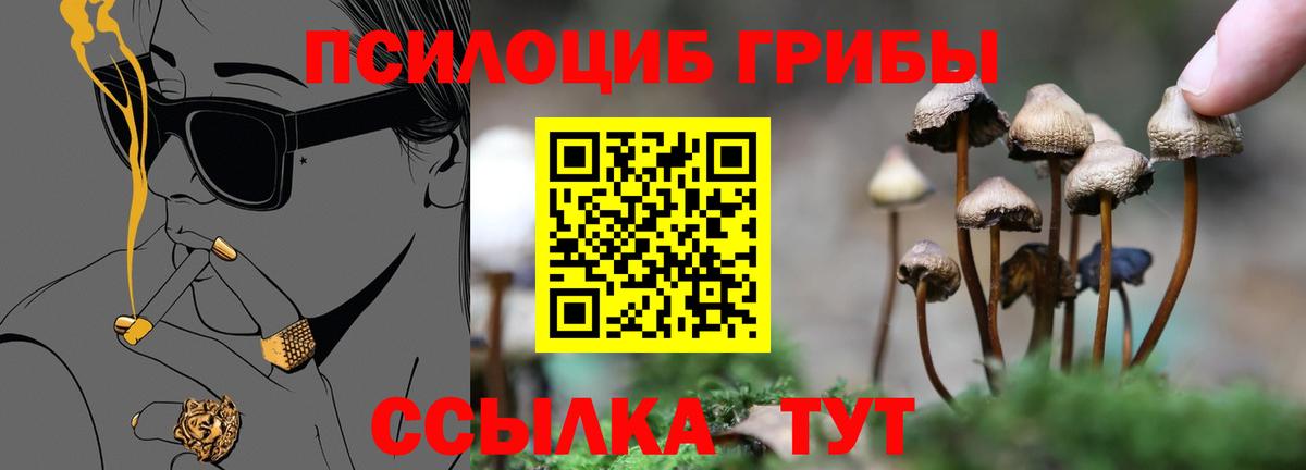 Нальчик  Псилоцибиновые грибы мухоморы  наркотики  Вход с VPN 